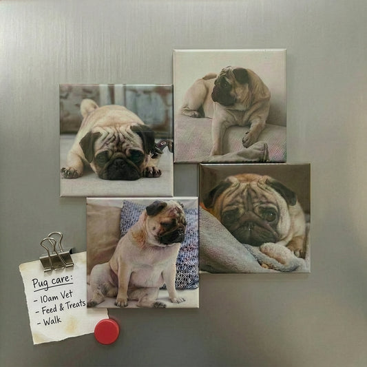 30-Pack Photo Magnets
