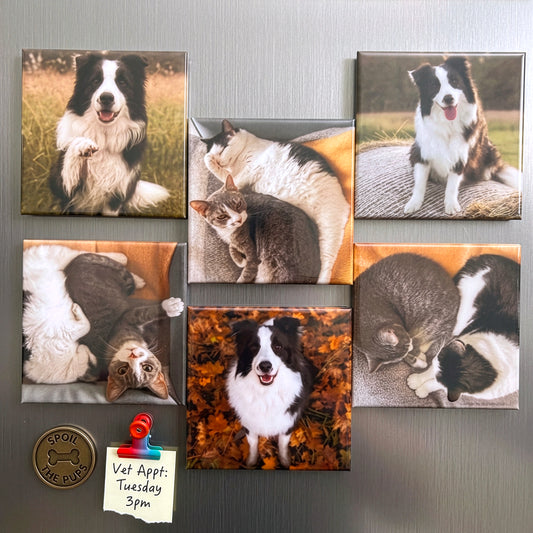 6-Pack Photo Magnets