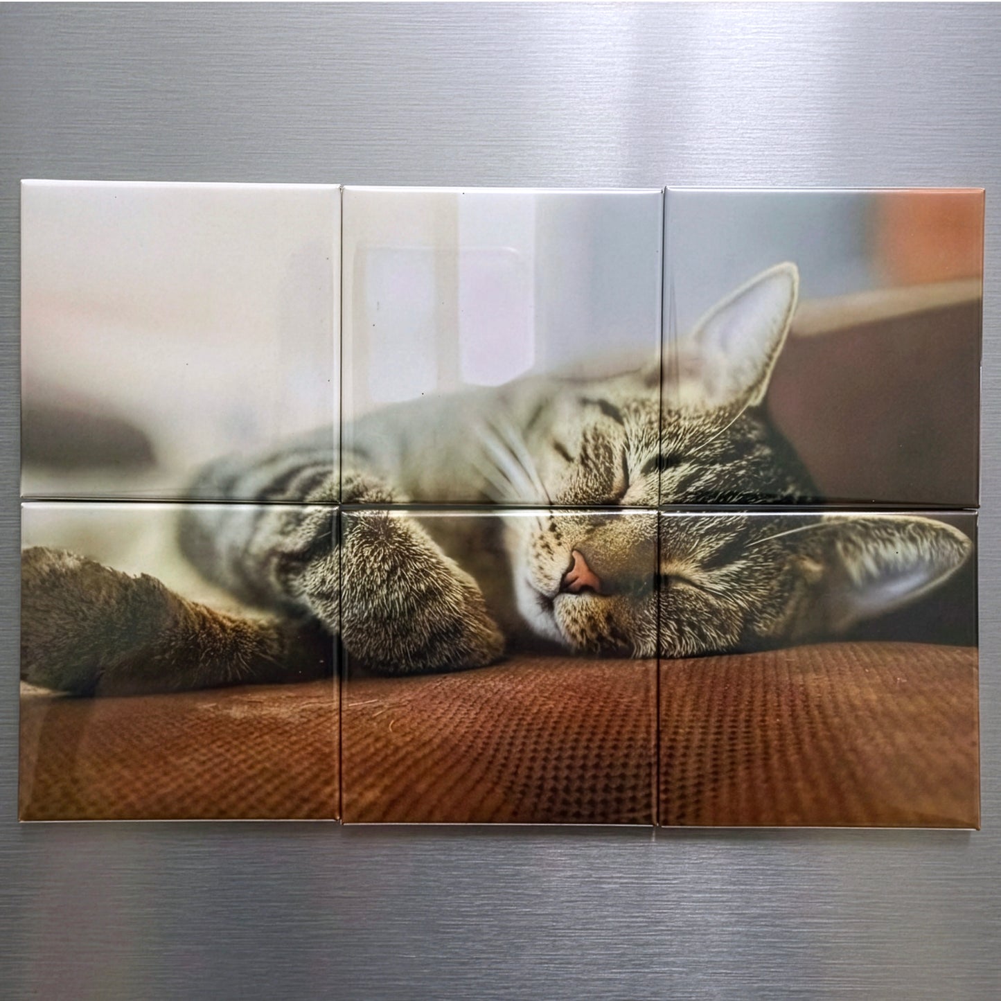 6-Piece Puzzle Magnets