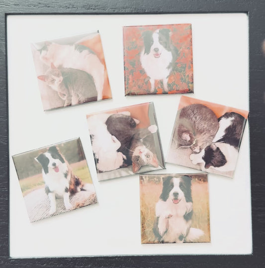 9-Piece Puzzle Magnets