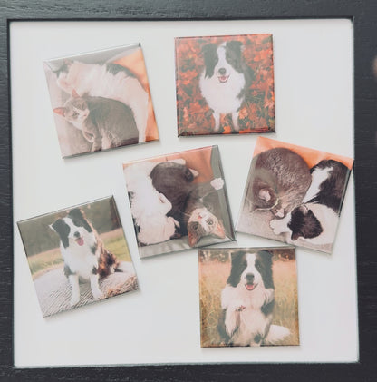 12-Pack Photo Magnets